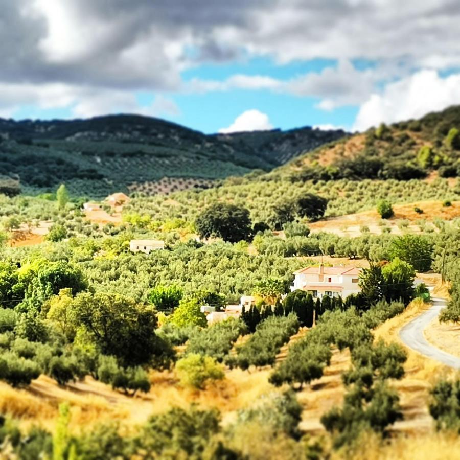 Cortijo Pennymaria Poolside Apartment Near Montefrio With Stunning Views Esterno foto