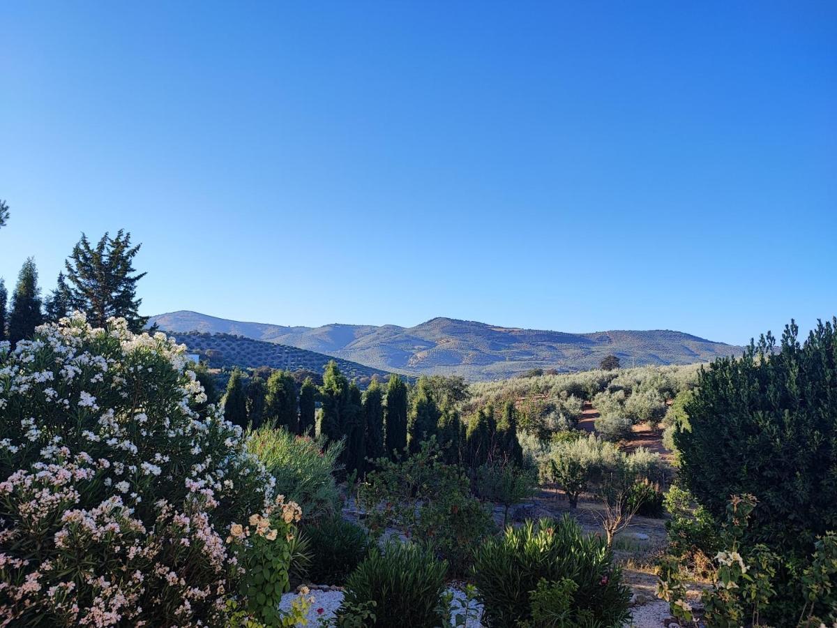 Cortijo Pennymaria Poolside Apartment Near Montefrio With Stunning Views Esterno foto