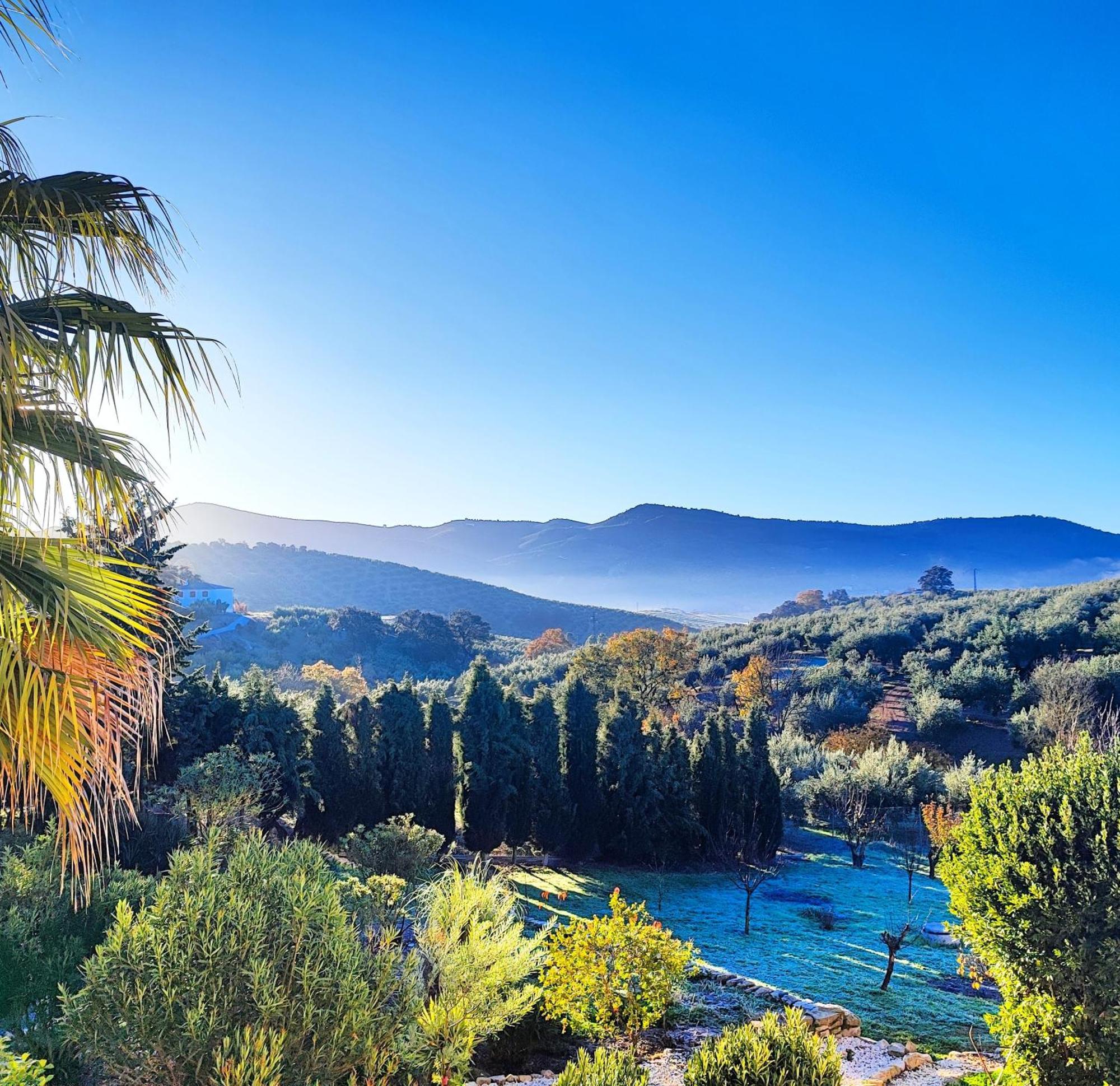 Cortijo Pennymaria Poolside Apartment Near Montefrio With Stunning Views Esterno foto